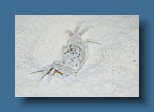 Helengeli 108